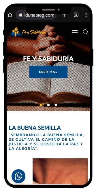 Fe y sabiduría feysab